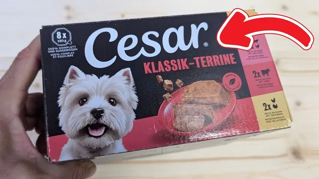 Cesar Klassik-Terrine Adult Multipack