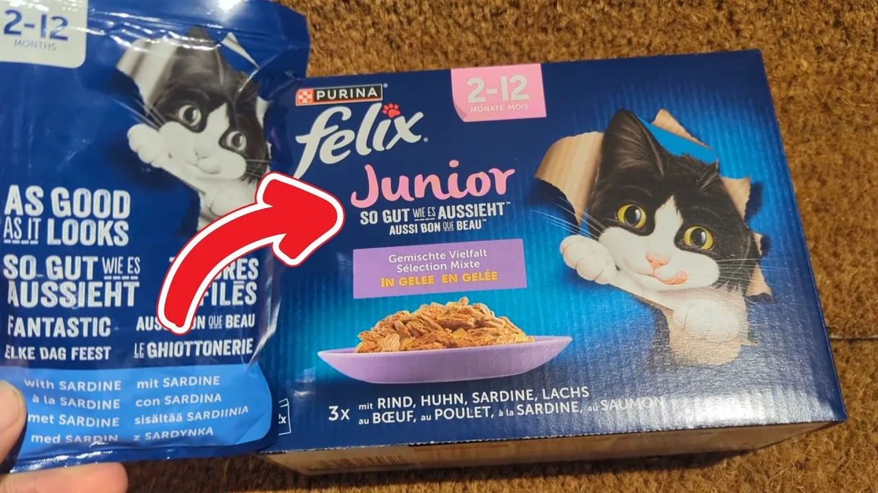 Video: FELIX Junior Nassfutter
