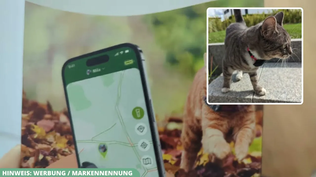 In meinem Praxistest war die Ortung über die App leider häufig ungenau und übermittelte den Standort nur mit starker Verzögerung.