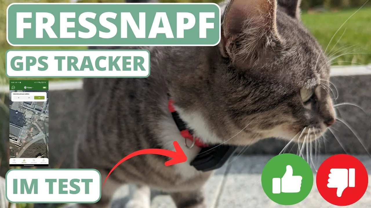 Video: Fressnapf GPS Trackers für Katzen