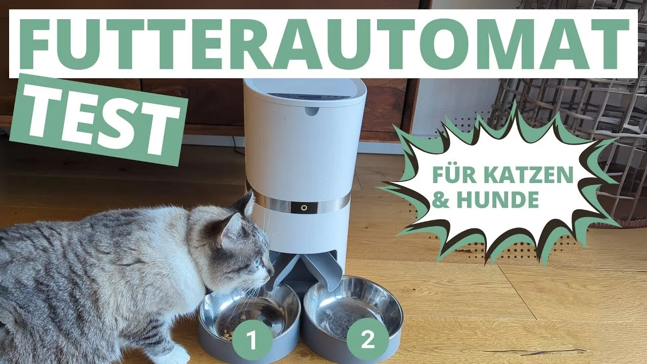 Video: WellToBe Smart Futterautomaten