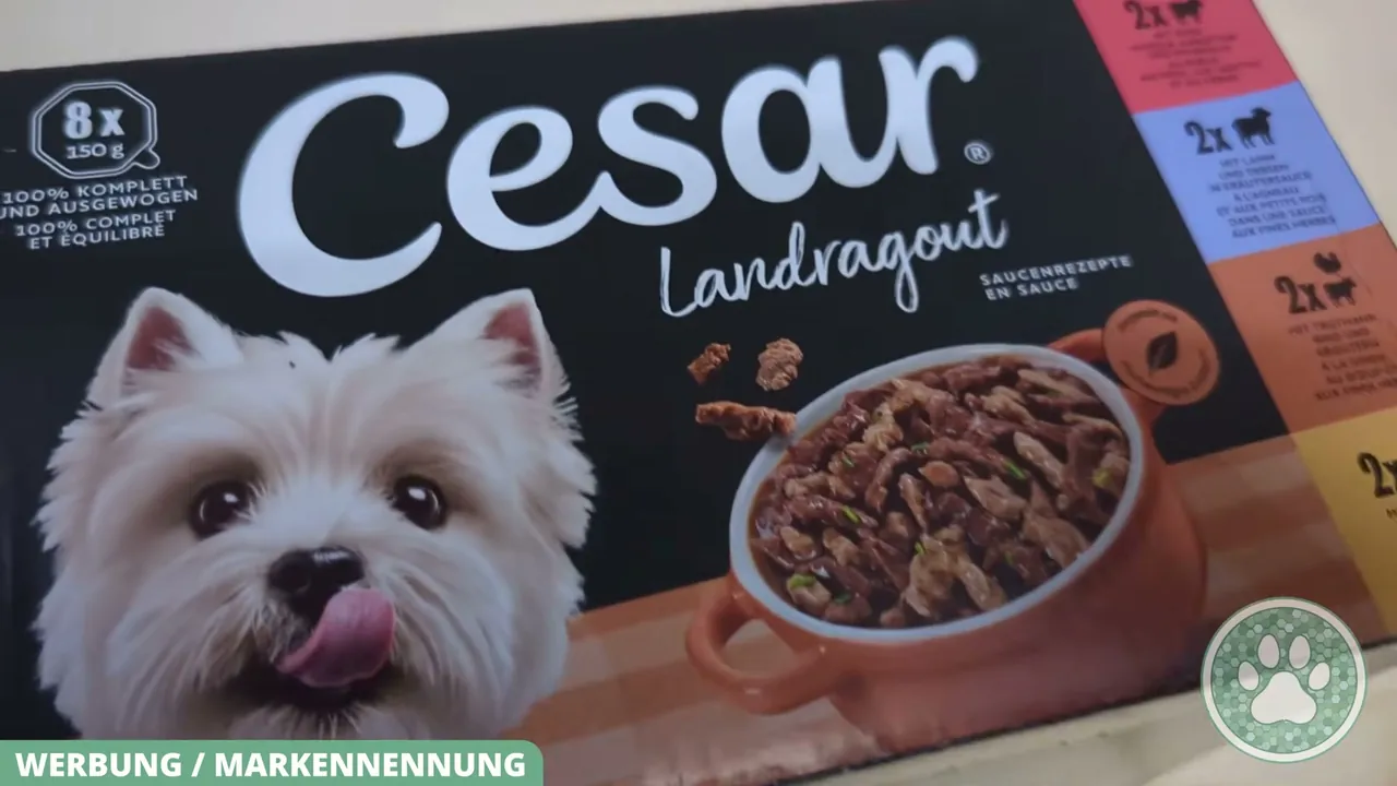 Die Cesar Landragout Multipackung bietet verschiedene Geschmacksrichtungen in praktischen Portionsschalen für ausgewachsene Hunde.