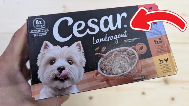 Cesar Landragout Adult