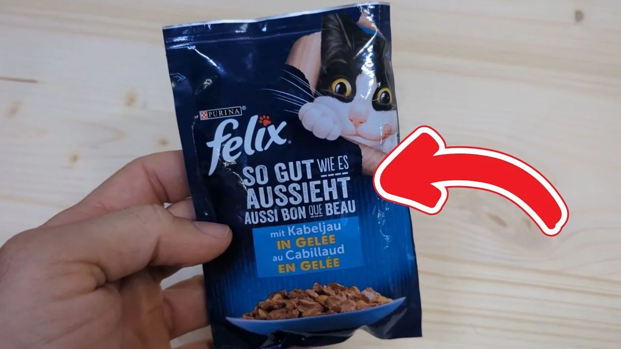 Video: Felix So gut wie es aussieht
