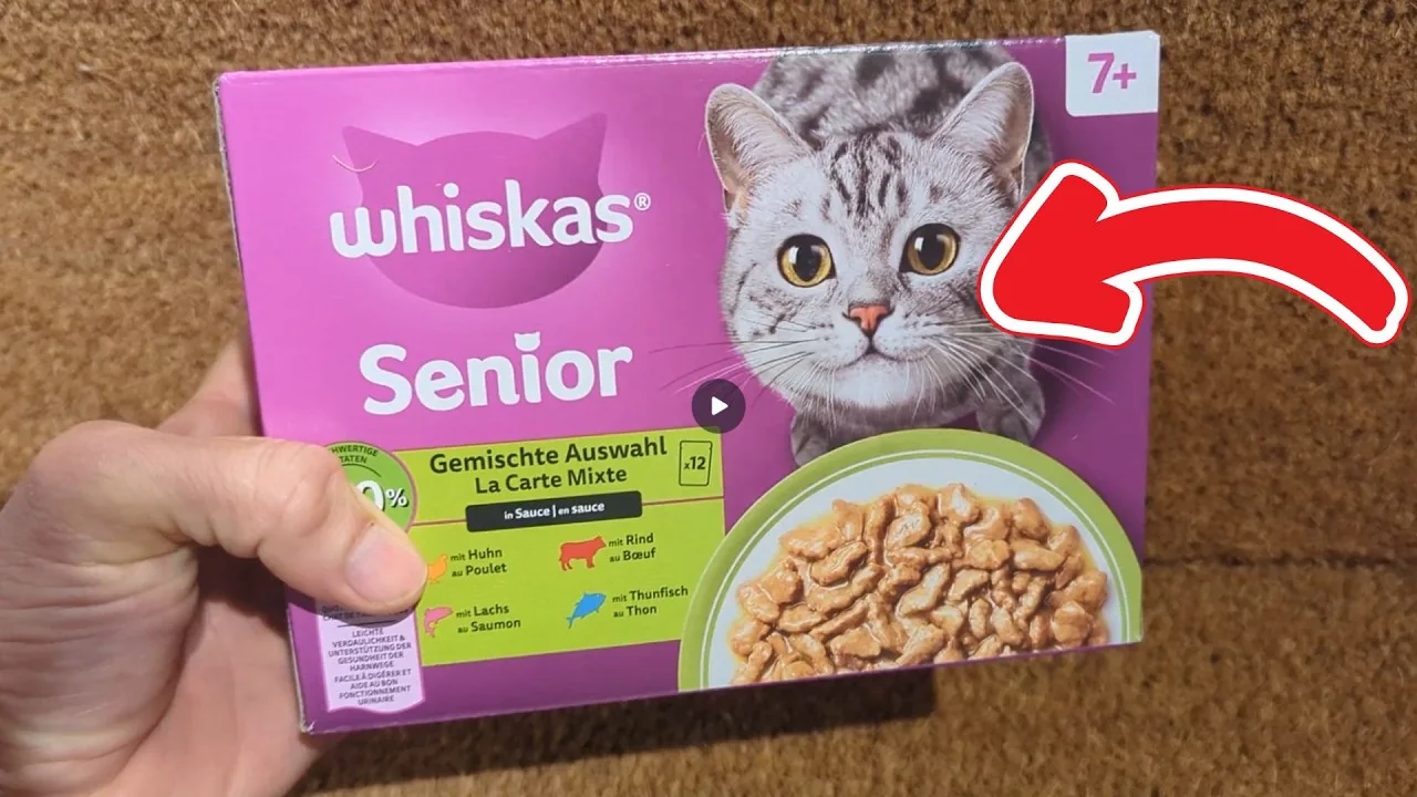Video: Whiskas Senior 7+ Katzennassfutter