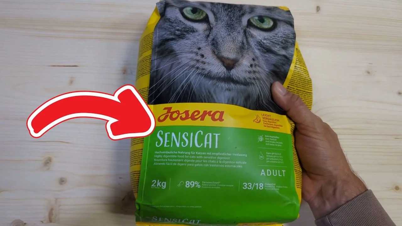 Video: JOSERA SensiCat