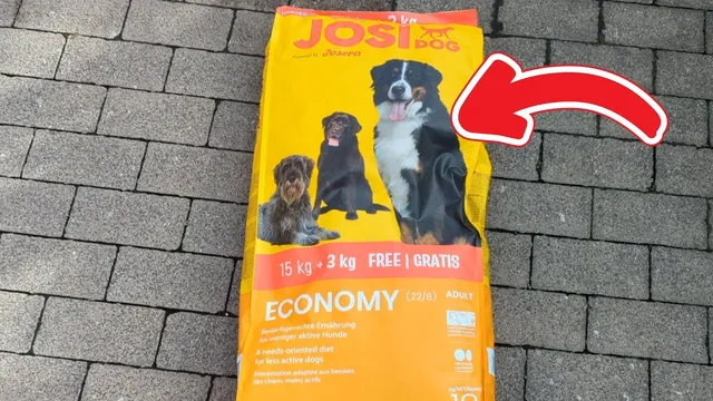 JosiDog Economy