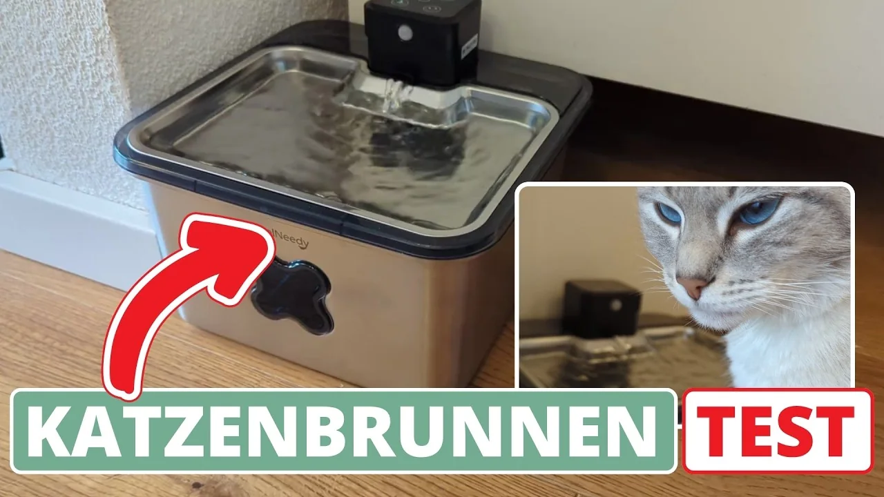 Video: FEELNEEDY Katzenbrunnen