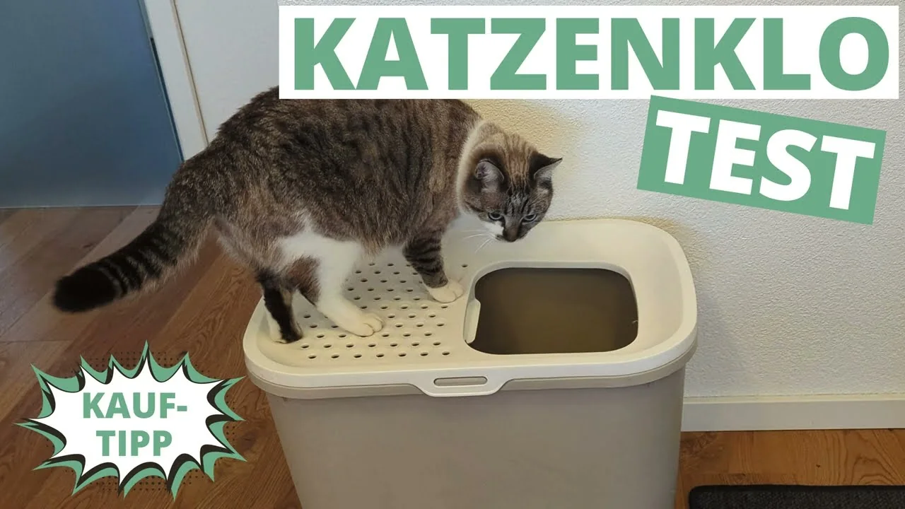 Video: Savic Hop In Katzentoilette