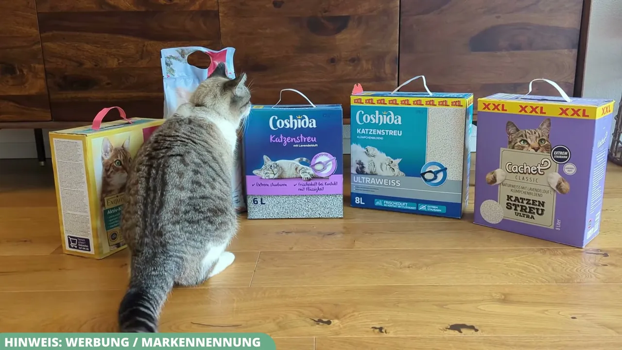 In meinem Test habe ich zahlreiche Sorten ausprobiert, um die beste Lösung für die Katzentoilette zu finden.