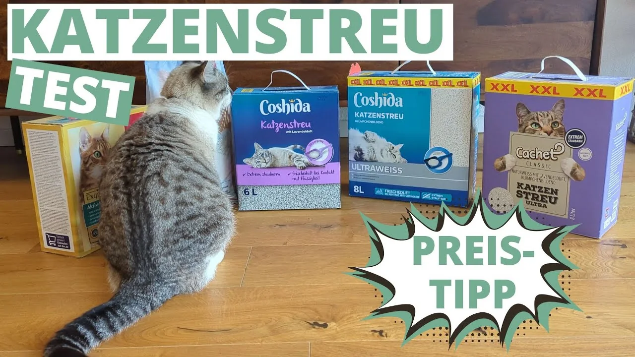 Video: CATSAN Active Fresh Katzenstreu