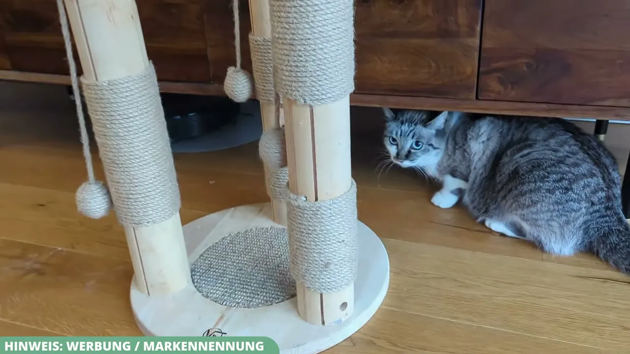 Ich finde es klasse, wie schnell meine Katzen den kompakten Kratzbaum als willkommene Alternative angenommen haben.
