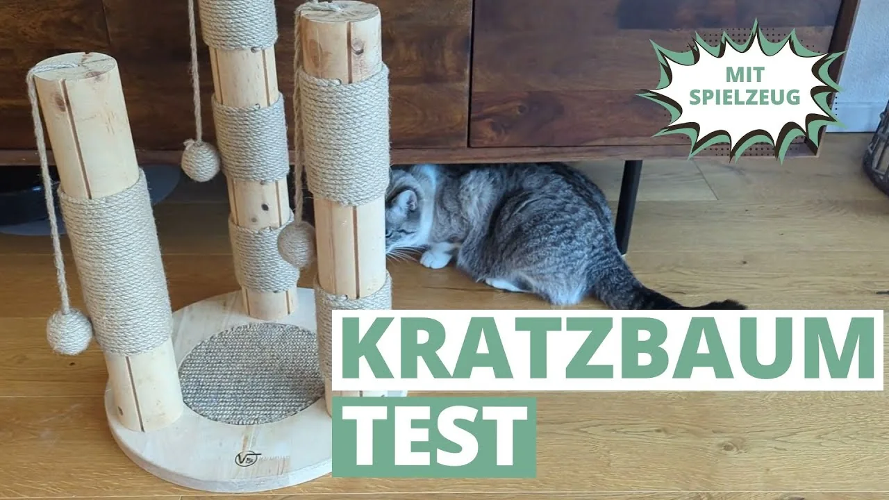 Video: VOSS.PET Kratzbaums Kaiser