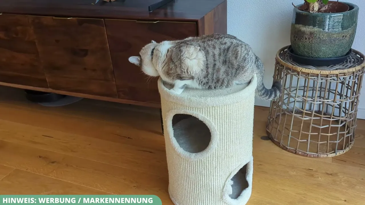 Ich finde es klasse, wie gerne meine Katzen die obere Plattform als bequemen Aussichts- und Schlafplatz nutzen.