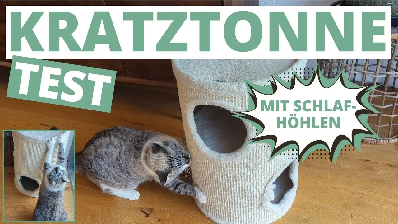 Video: lionto Kratztonne