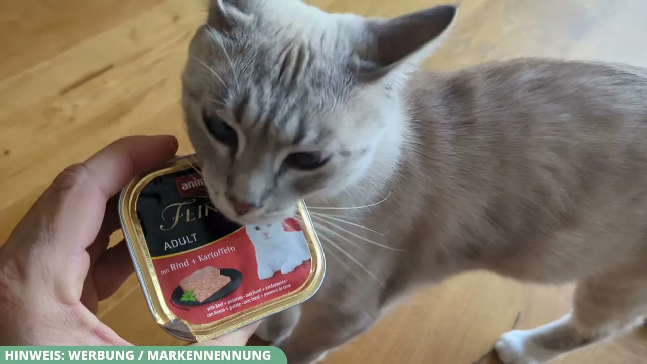 In meinem Test probieren meine Katzen die Geschmacksrichtung Rind und Kartoffeln von animonda Vom Feinsten.