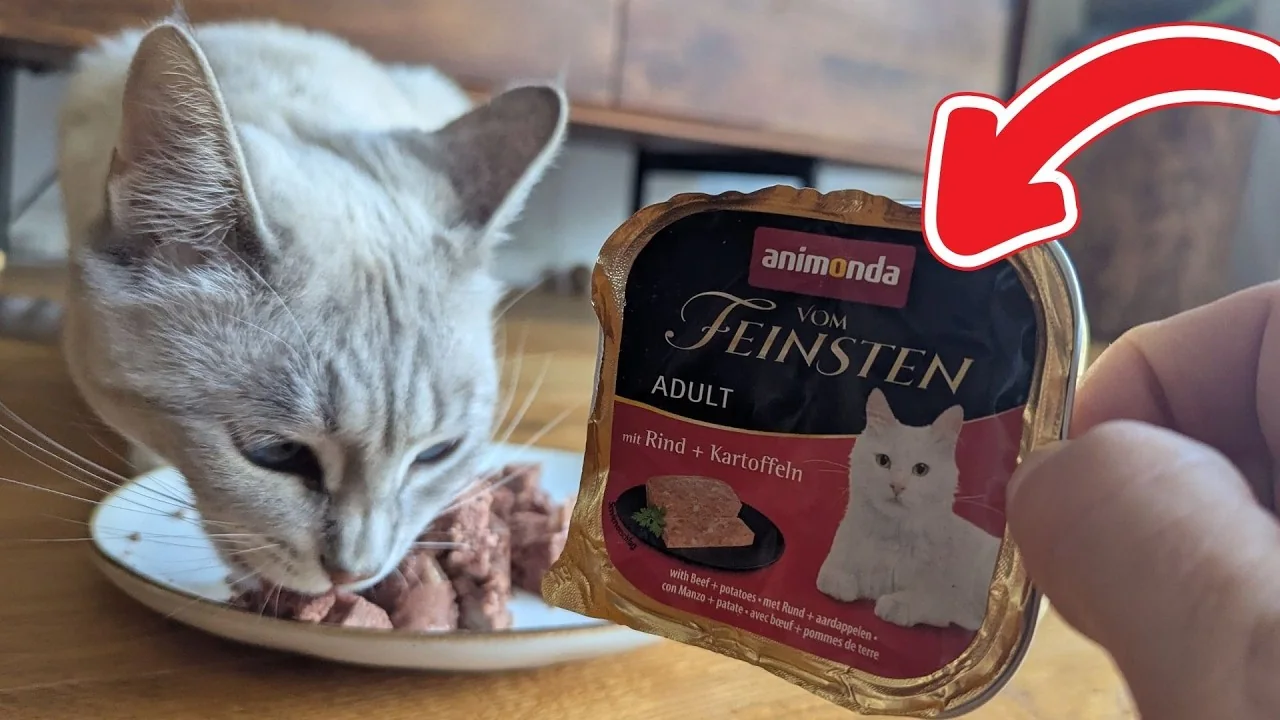 Video: animonda Vom Feinsten Adult Nassfutter