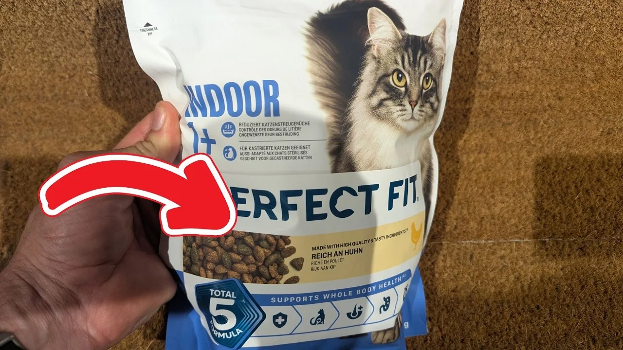 Video: PERFECT FIT Indoor Adult 1+