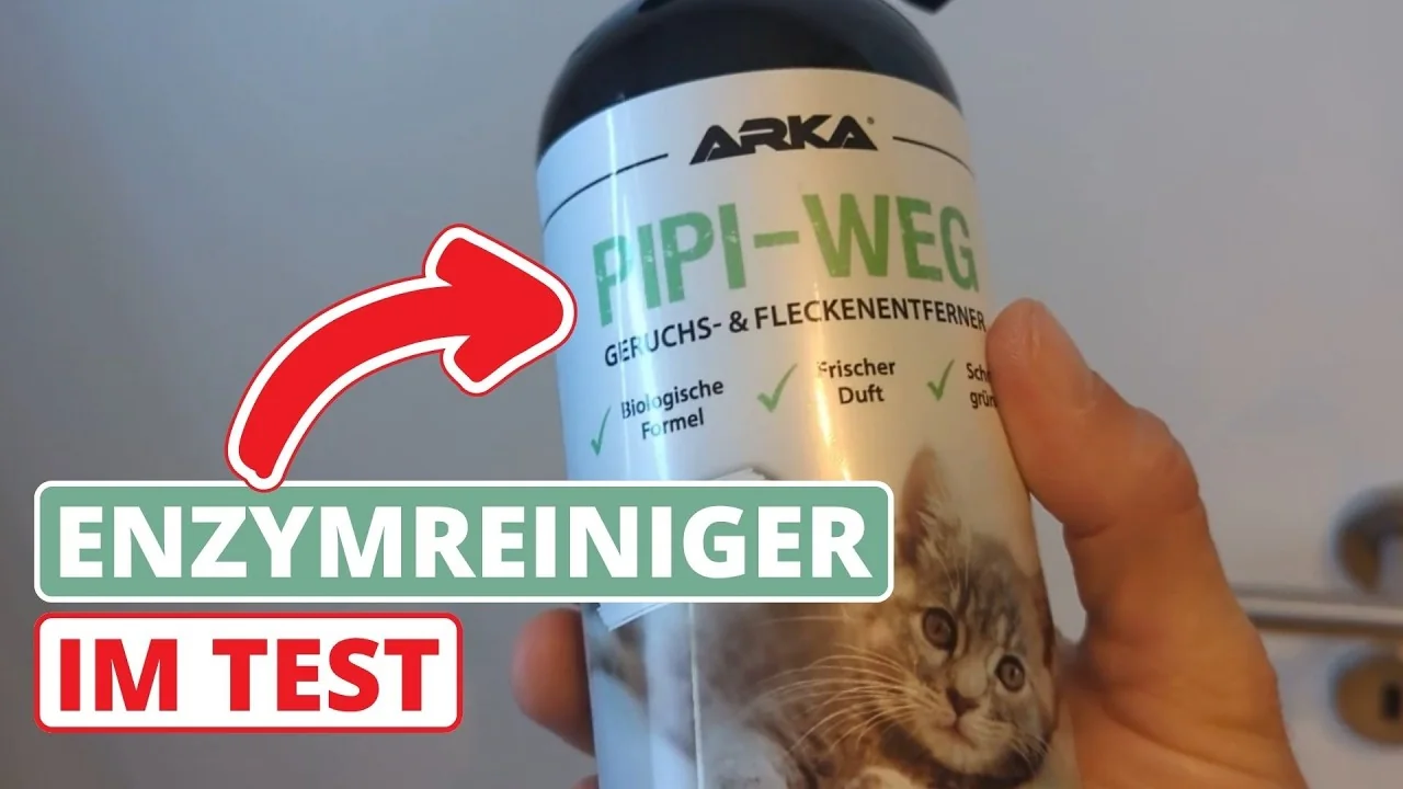 Video: Pipi-Weg Enzymreiniger