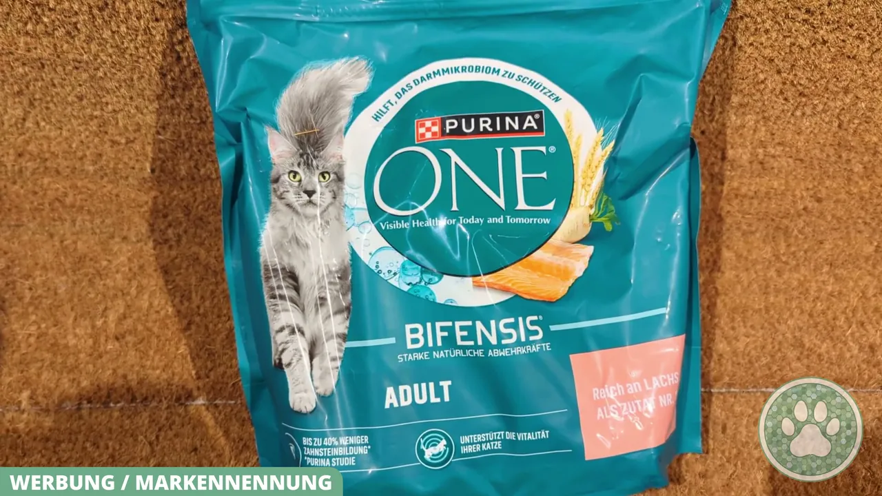 Das Trockenfutter Purina One Bifensis Adult mit Lachs versorgt ausgewachsene Katzen mit wertvollen Omega-Fettsäuren und Nährstoffen.