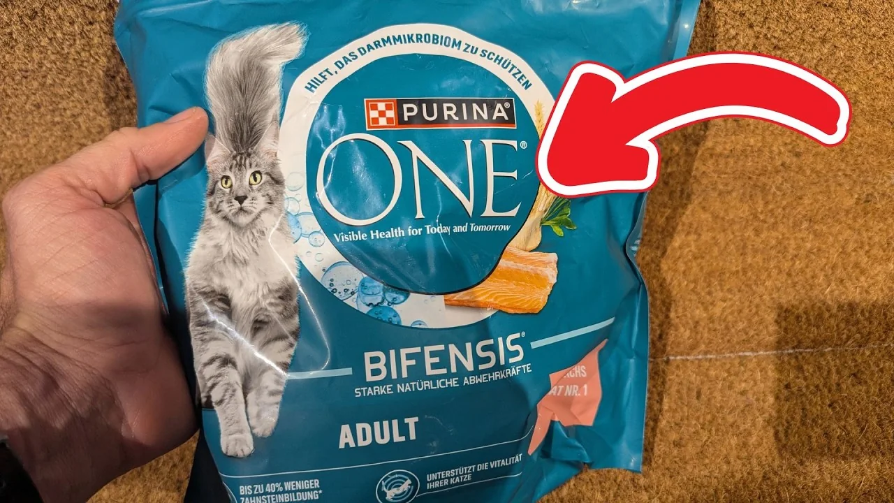 Video: PURINA ONE BIFENSIS Adult Lachs