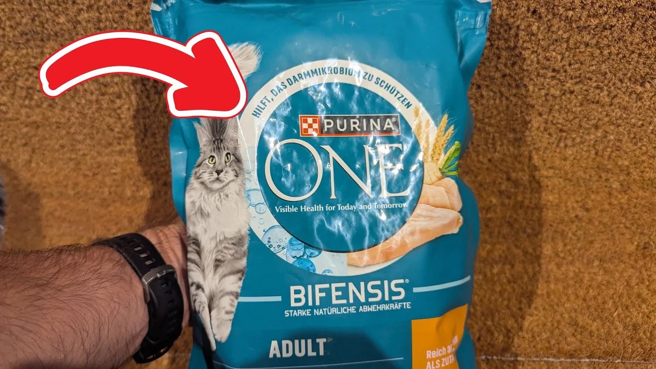 Video: Purina One Bifensis Adult (reich an Huhn)