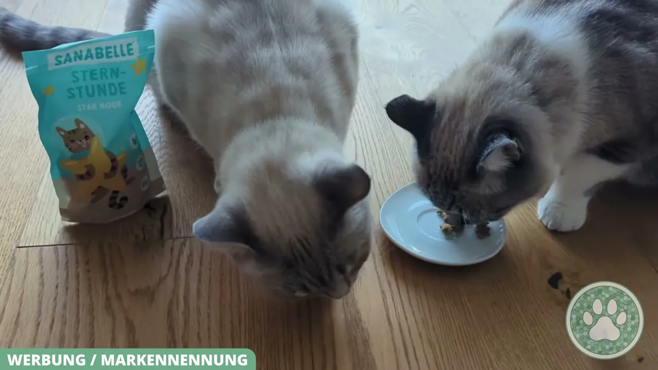 Besonders gut finde ich, dass bei der Rezeptur komplett auf Zuckerzusatz und Soja verzichtet wird.