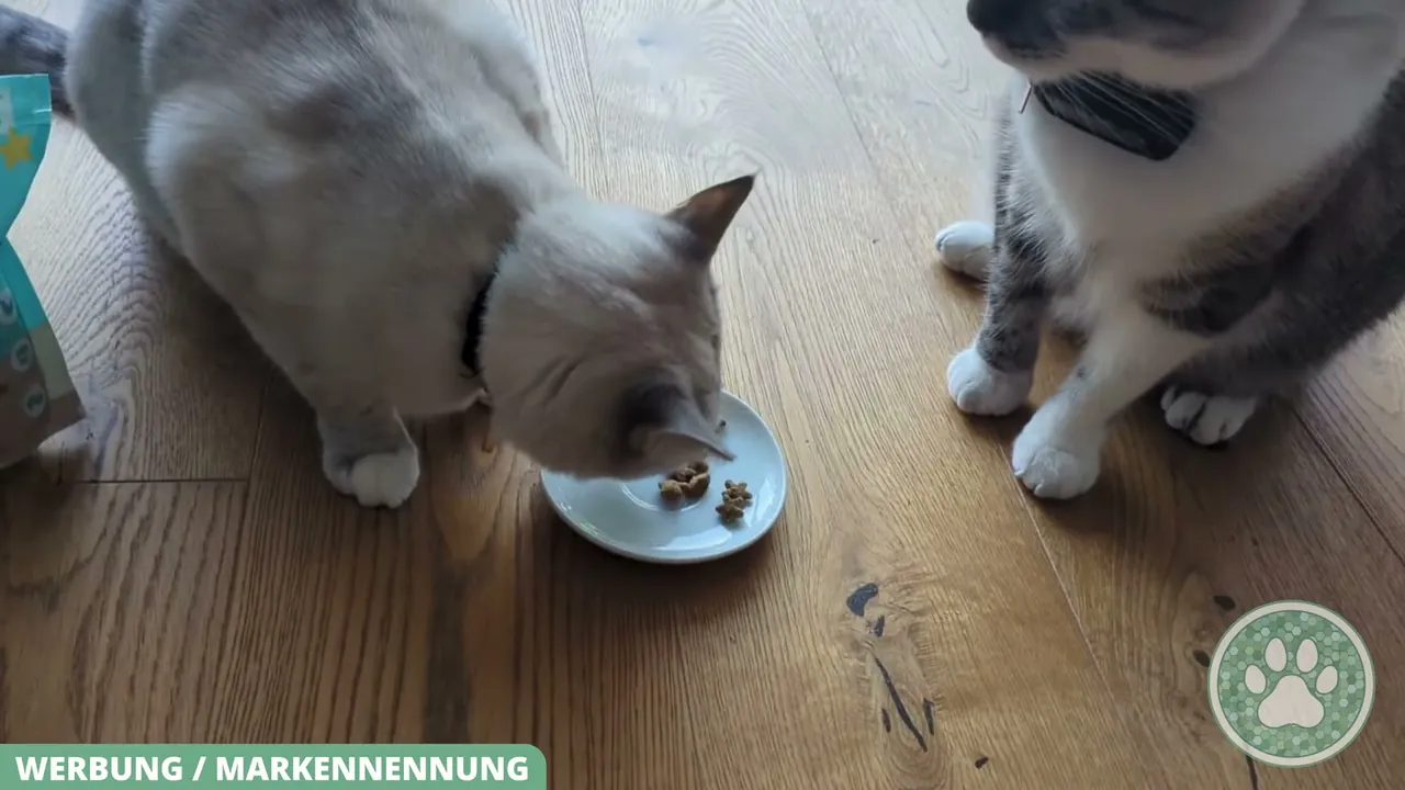 In meinem Test haben beide Katzen die knusprigen Snacks hervorragend akzeptiert und restlos verputzt.