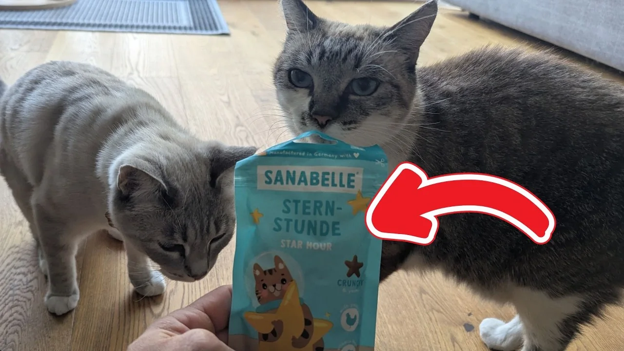 Video: Sanabelle Sternstunde Katzen-Leckerlis