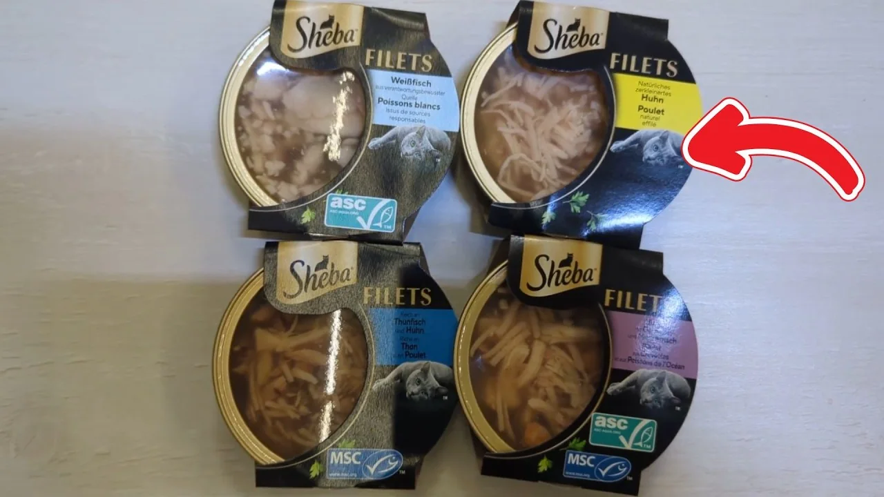 Video: SHEBA Filets Huhn