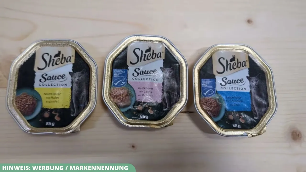 Die SHEBA Sauce Collection bietet verschiedene Geschmacksrichtungen in handlichen 85-Gramm-Portionsschalen.