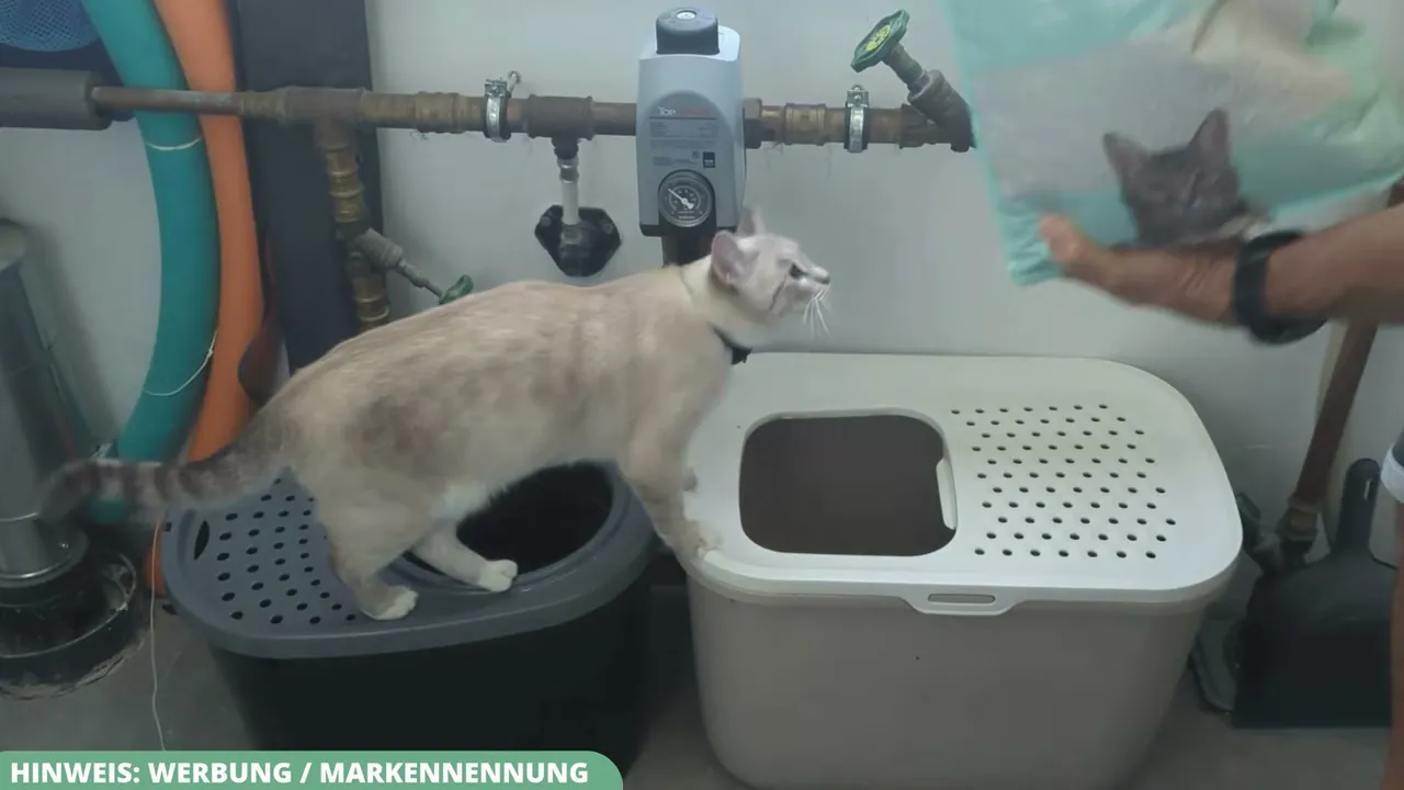 Meiner Meinung nach ist die Akzeptanz klasse, denn meine Katzen haben das neue Streu sofort ohne Zögern angenommen.