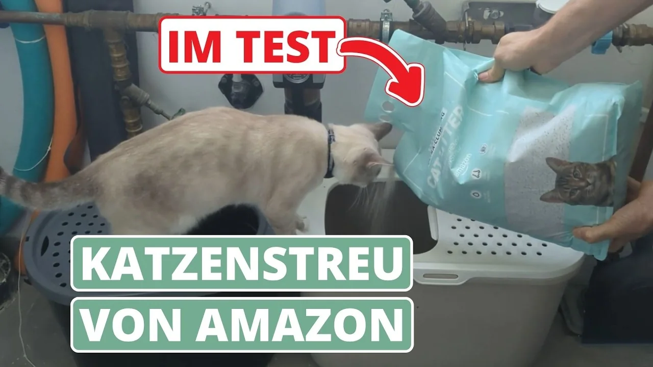 Video: by Amazon Ultra-Klumpstreus