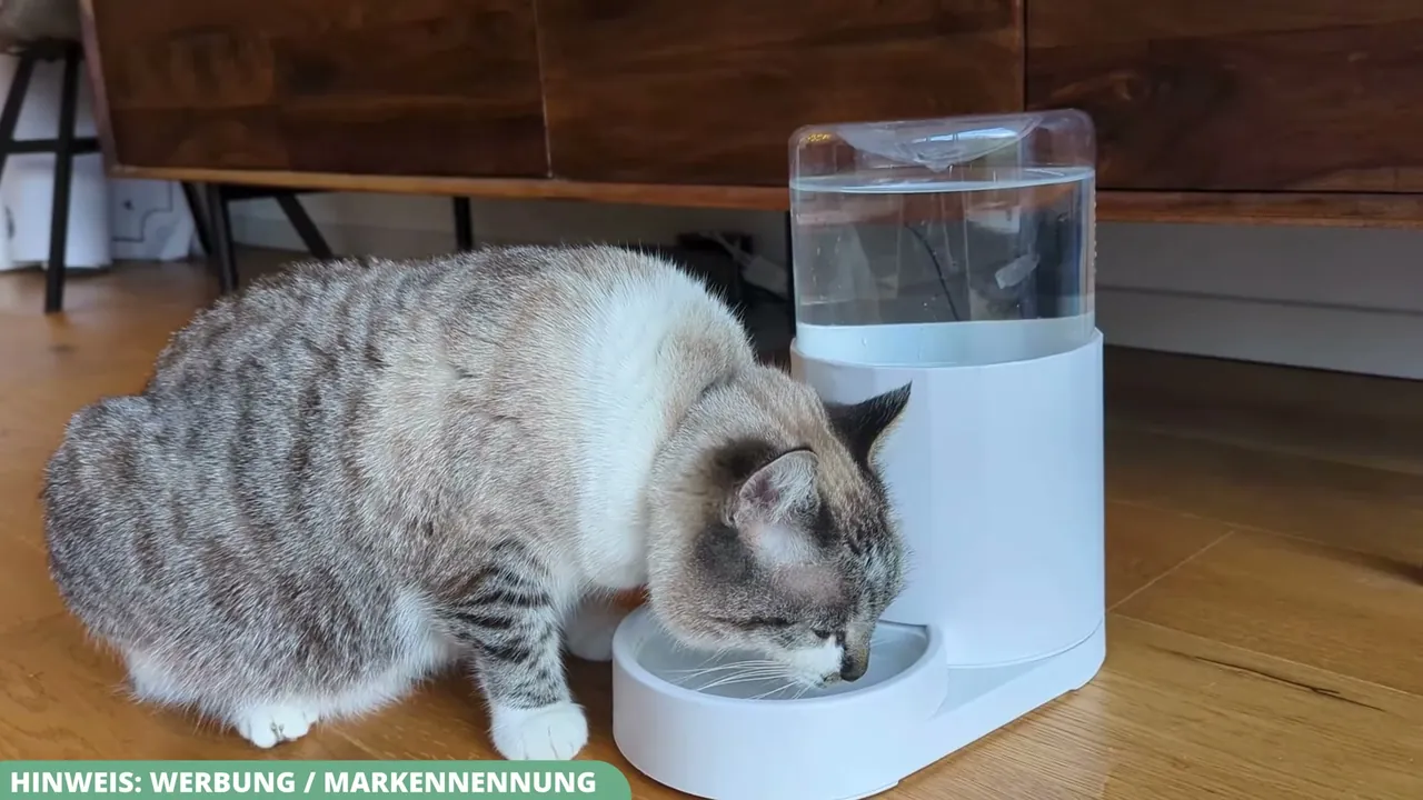 Meiner Meinung nach ist der automatische Wassernachlauf ideal, weil meine Katzen ganz ohne Strom stets frisches Wasser haben.