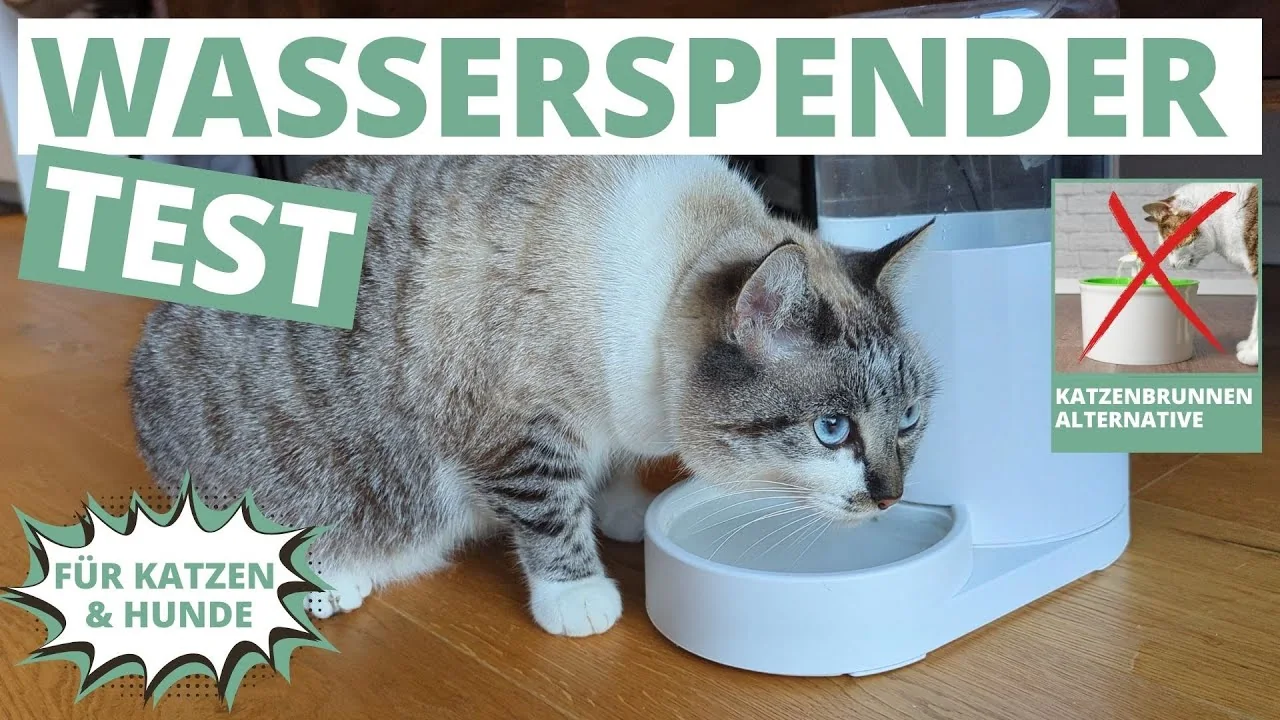 Video: JUNSPOW 4L Wasserspender