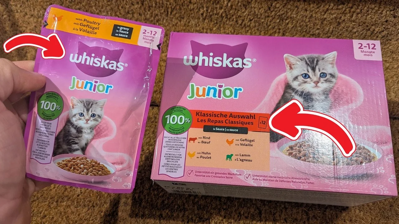 Video: Whiskas Junior Klassische Auswahl in Sauce