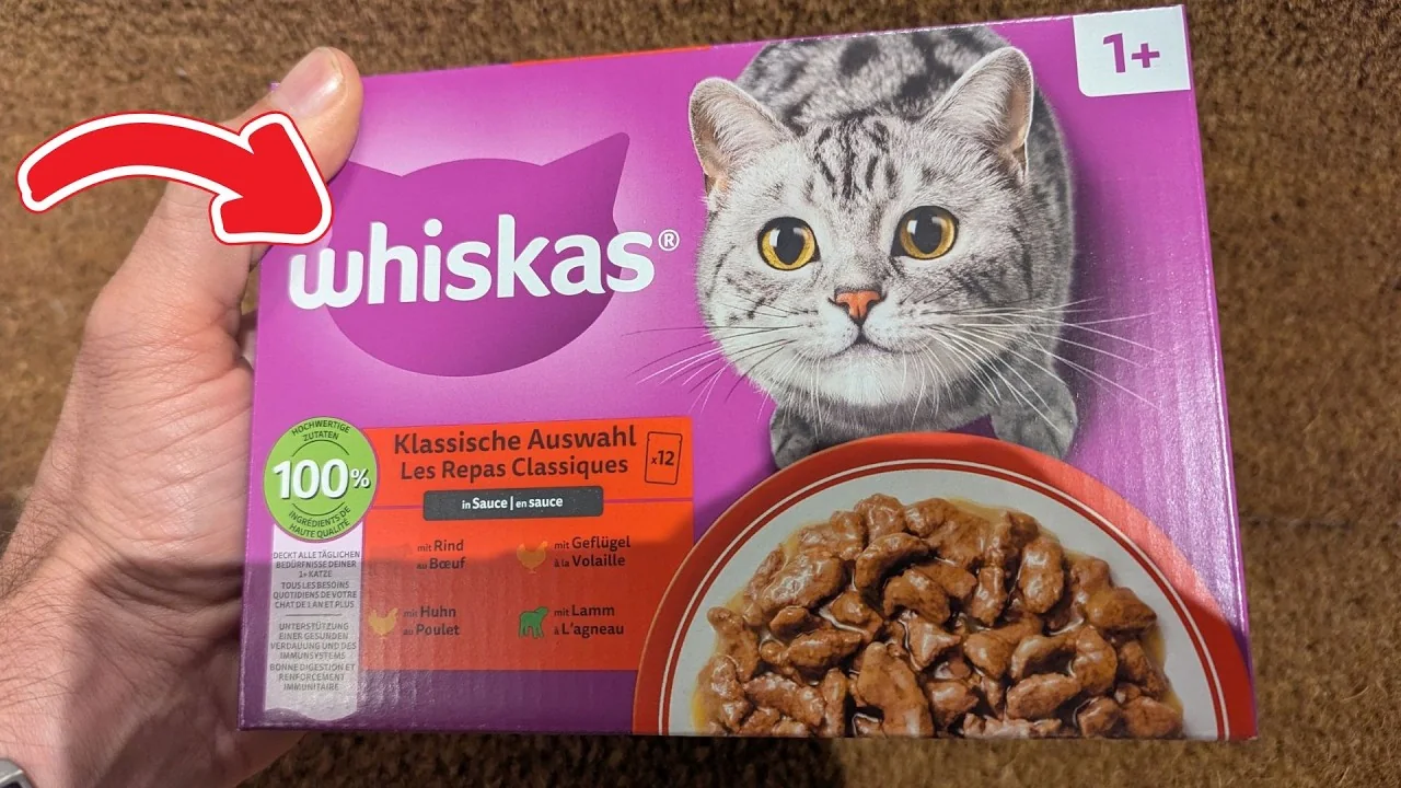 Video: Whiskas Katzennassfutter