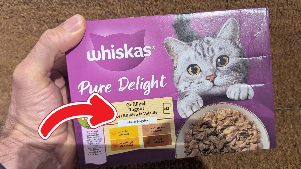 Video: Whiskas 1+ Ragout Geflügel Auswahl