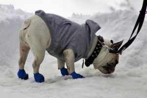 Winterwandern Hengu Hundeschuhe Pfotenschutz Lange Zeit Spaziergäng rutschfeste Hundeschuhe mit Klettverschluss Design Passend für Hunde Haustier Klettern