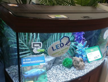 Alle Bestes aquarium im Blick