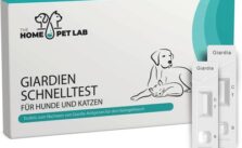Katzen DNA Test