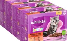Kitten-Nassfutter Test