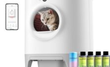 Selbstreinigendes Katzenklo Test