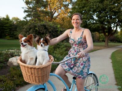Velokorb für Hunde vorne  Online Shop Gonser - Sicher & Günstig