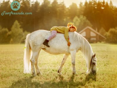 Haben alle SSO Pferdenamen auch eine Bedeutung bzw. Uebersetzung?