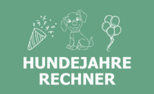 Hundejahre Rechner: Menschenjahre umrechnen