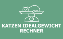 Rechner: Katzen Idealgewicht berechnen (FBMI)