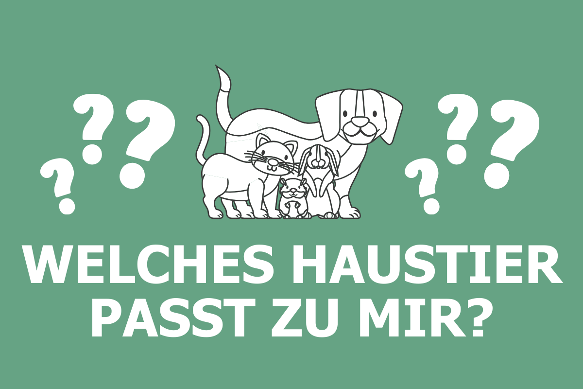 Welches Haustier Passt Zu Mir Test Kostenlos